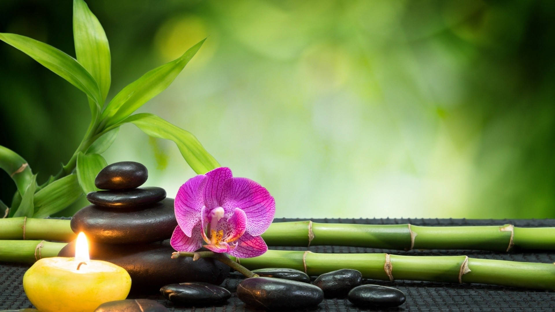Spa & Wellness